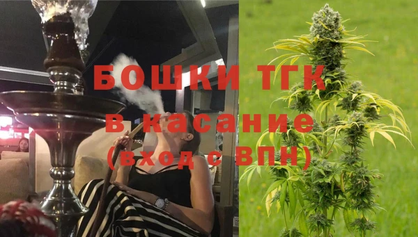 дмт Горно-Алтайск