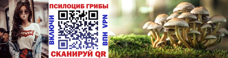 Галлюциногенные грибы мухоморы  кракен ONION  Барабинск  купить наркотик 