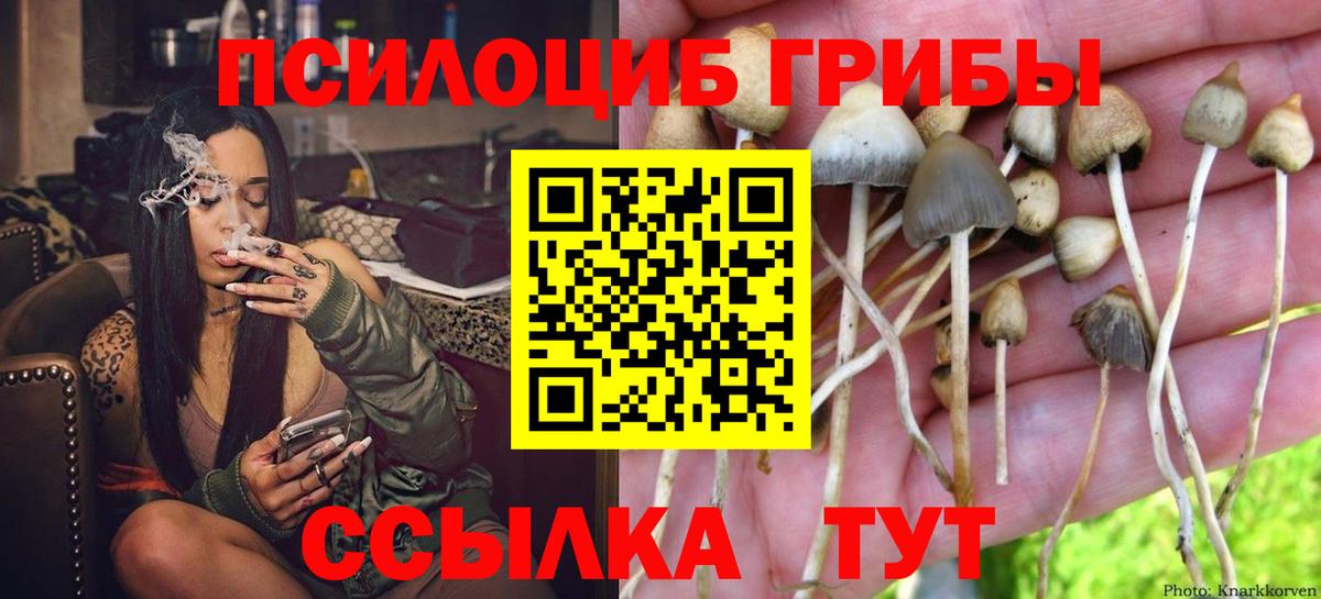 Псилоцибиновые грибы MAGIC MUSHROOMS  Вход с VPN  Барабинск 