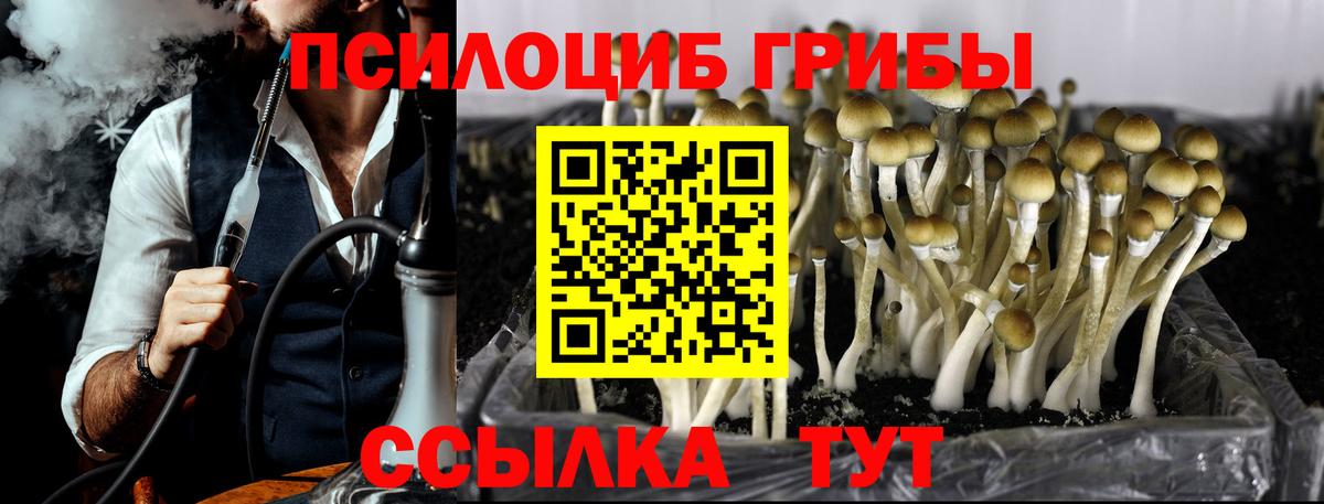Псилоцибиновые грибы мухоморы Барабинск